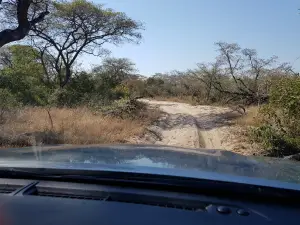 Ponweni Camp = Tembe Elephant Park