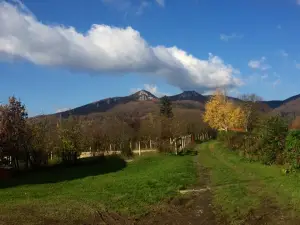 Kozara