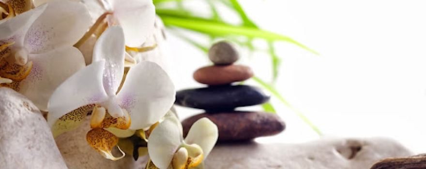 COSMEA - Studio für Kosmetik & Sugaring