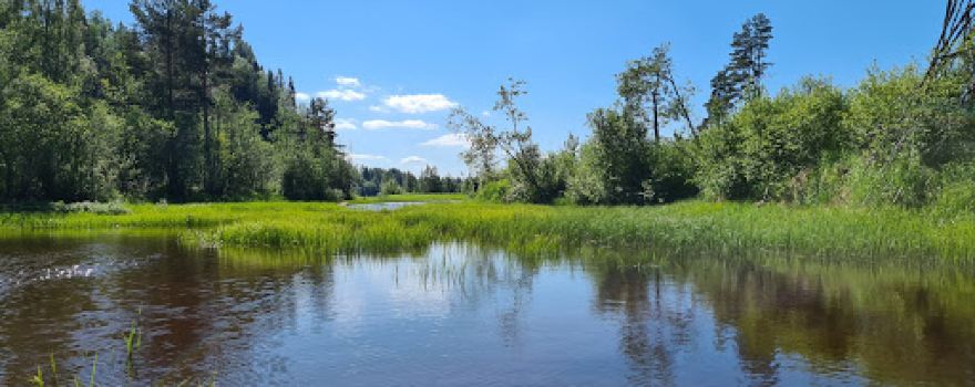 Byns Camping & Canoe Tours