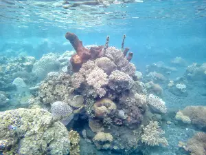 Kasawari Beach