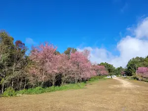 Khob Dong Viewpoint