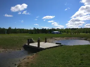 Kiiu Disc-Golf