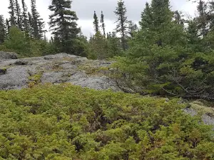 Sentier de randonnée Mont-Laurier