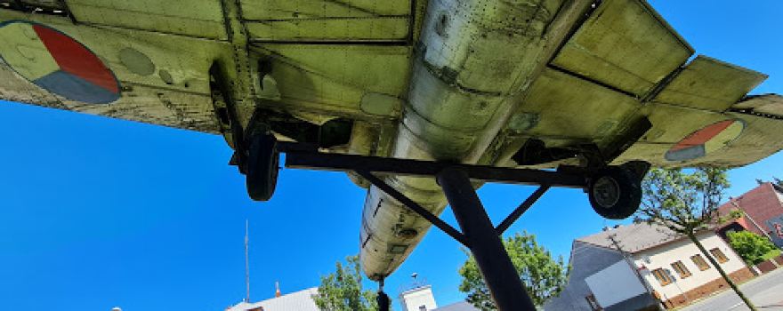 Samolot L-29 Delfin