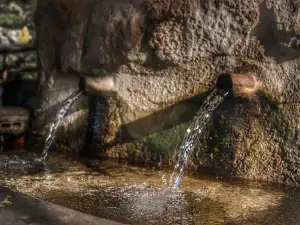 Fuente De Los Pimenteros