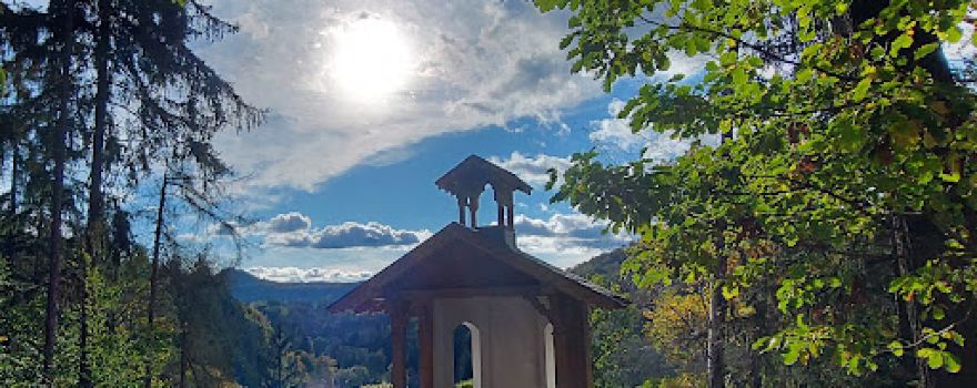 forest chapel