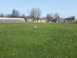 Zapadnyy