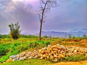 Saralpara River Bank