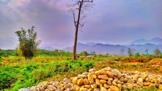 Saralpara River Bank