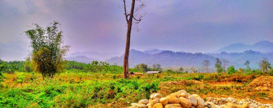 Saralpara River Bank