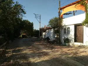Ali Osman Sali Parki