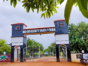 Biodiversity Park Godda