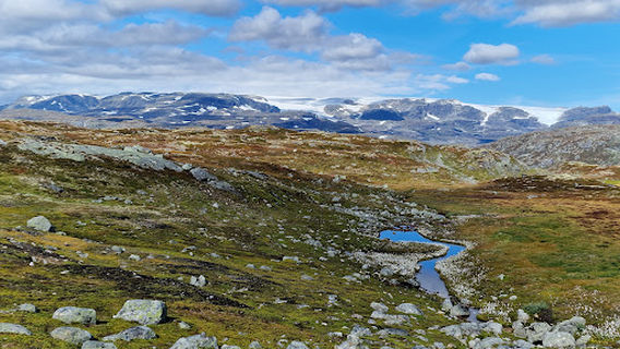 Hardangerjøkulen