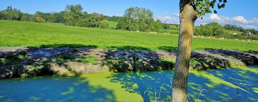 L'Etang du Colvert
