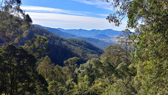 South East Forest National Park