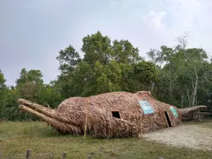 The Sundarbans (Bangladesh)
