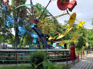 Town Attractions
