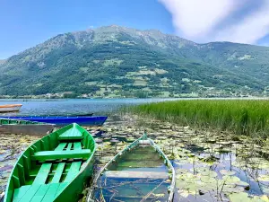 Plavsko Jezero