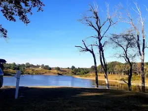 Whitehall Bay Campground