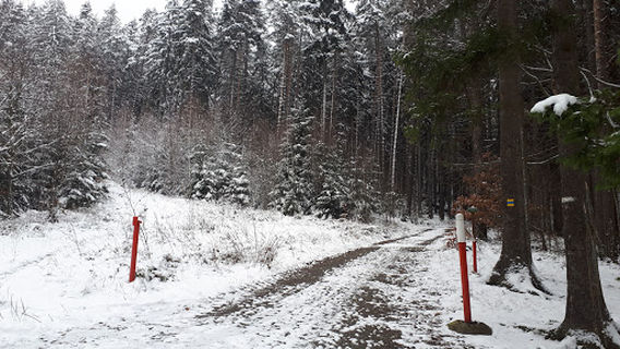 Křížová cesta