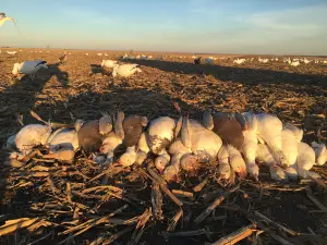 Prairie Tornado Outfitters LLC