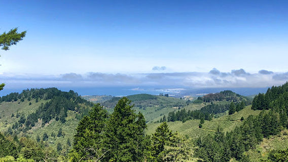 Purisima Creek Redwoods Open Space Preserve