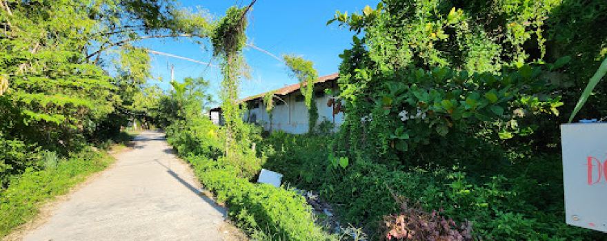 Sân bóng mini Bạch Vân