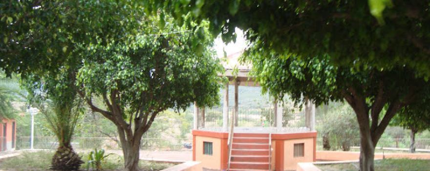 Kiosco de Palo Blanco