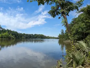 Forkland Campground