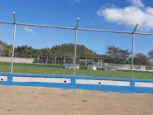 Estadio José Rigoberto Alemán