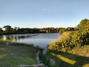 Lago Henry Dellarossa Park