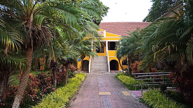 Palace of Maquinezes