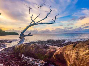 Pantai Bakaro