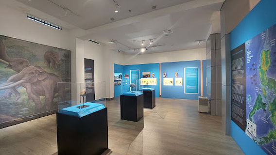 National Museum Western Visayas Regional Museum