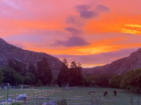 De Bos Backpackers and Camping