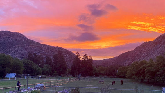 De Bos Backpackers and Camping