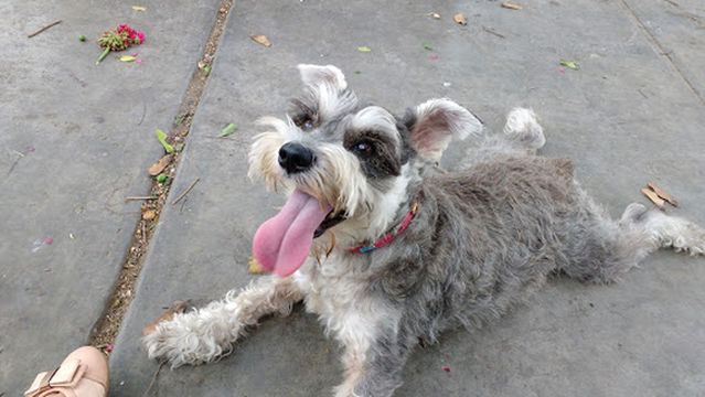 Alexander Von Humboldt Park