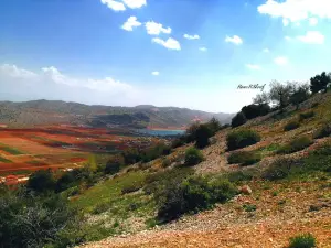 Yammoune Nature Reserve