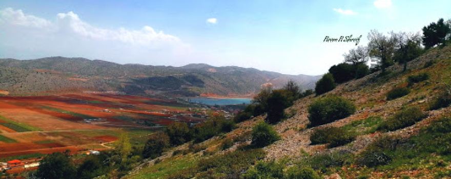 Yammoune Nature Reserve