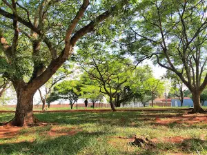 Zerão