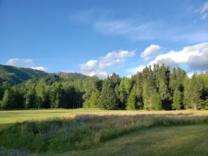 Hanmer Heritage Forest Trust