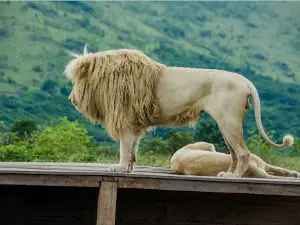Parc de la Vallée de la N'Sele