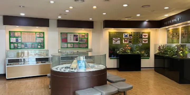 韓國蠶絲博物館