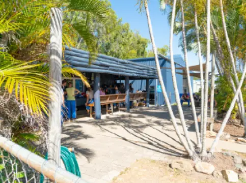 Skydive Airlie Beach