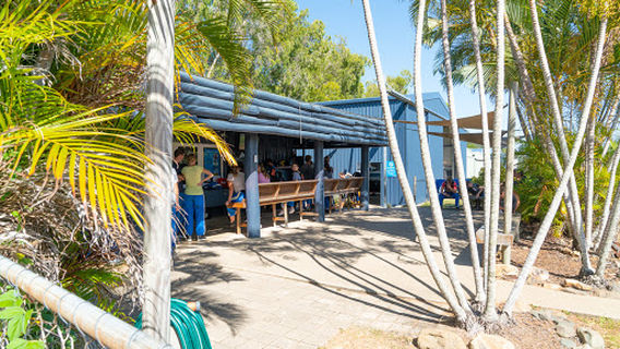 Skydive Airlie Beach