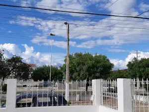 ALDEIA SERROTE DOS CAMPOS - PANKARÁ - Patchê