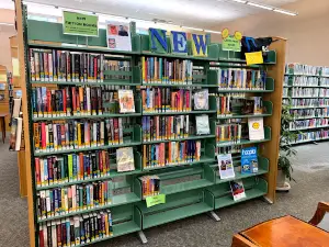 Iola Public Library