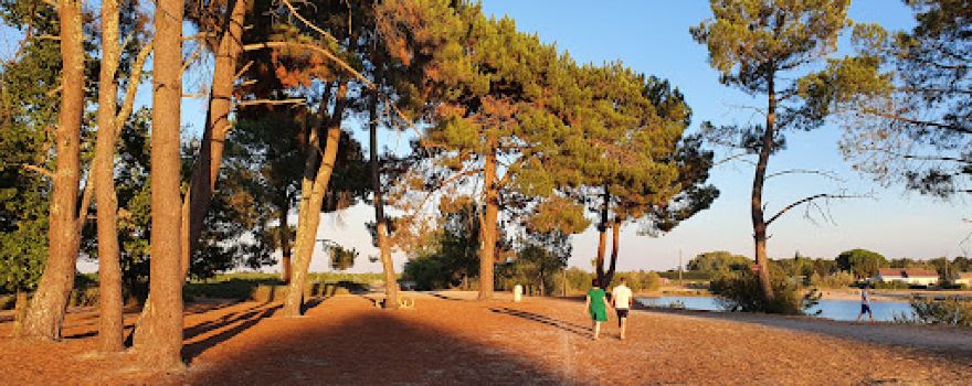 Etang de Paloumey
