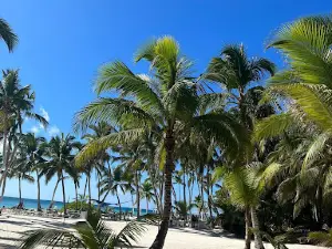Isla Saona Bayahibe La Romana - Saona Island Tours